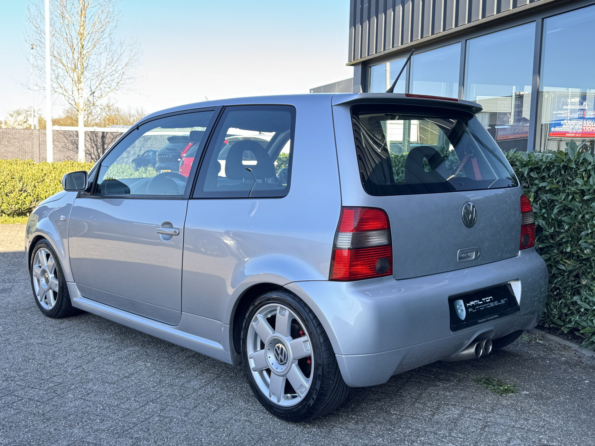 52650751-4.jpg