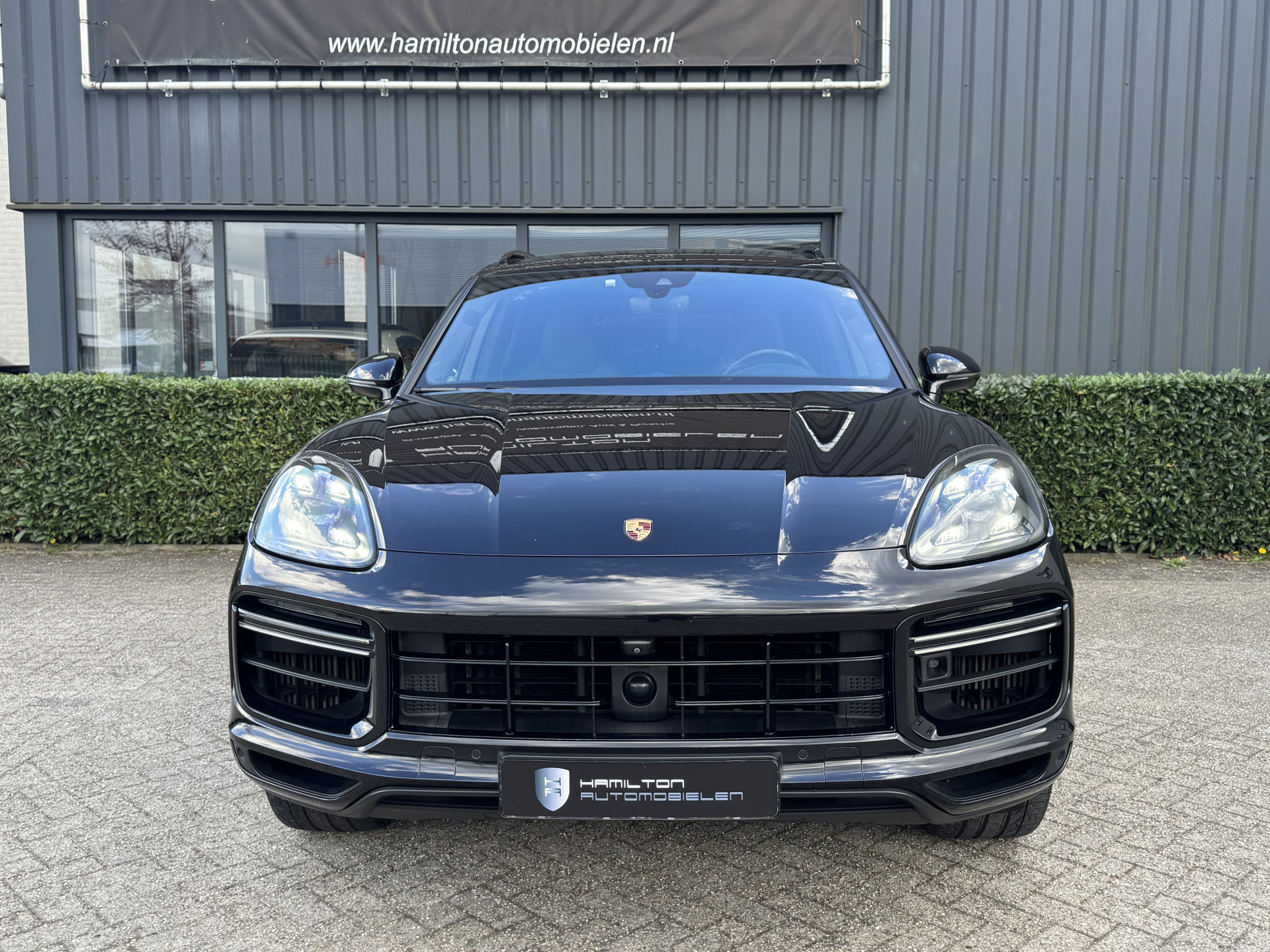 52890544-43.jpg