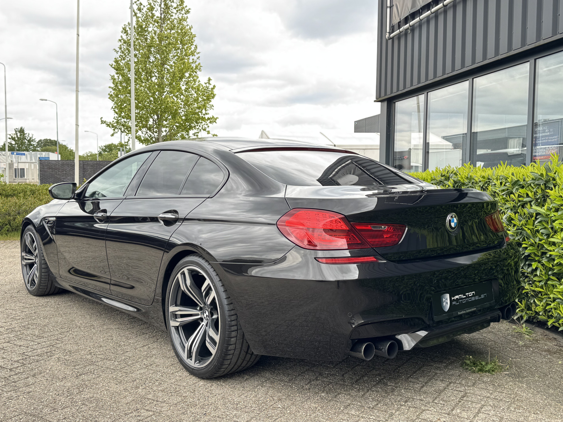 53453973-4.jpg