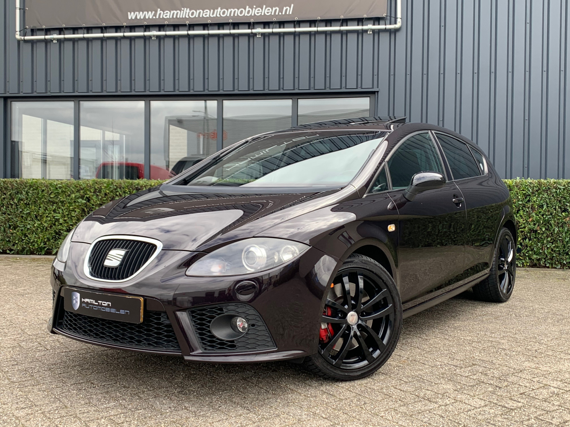 nachtmerrie beginnen Oprechtheid Seat-Leon-Cupra 2.0 TFSI 240pk-kopen in Eindhoven